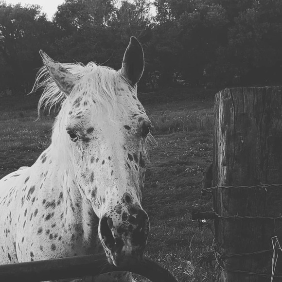 Meet your Posher, Nancy - Picture 1 of 1